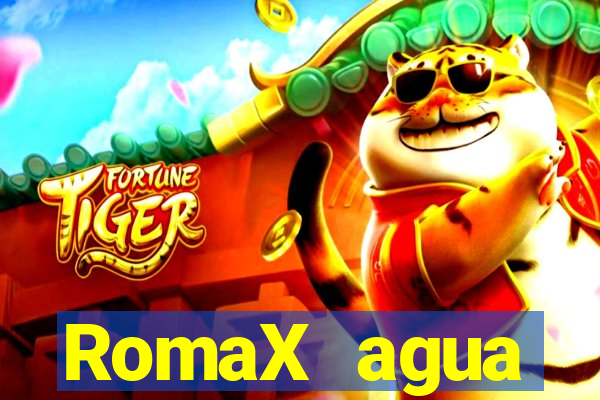 RomaX agua sanitaria fispq agua sanitaria romax